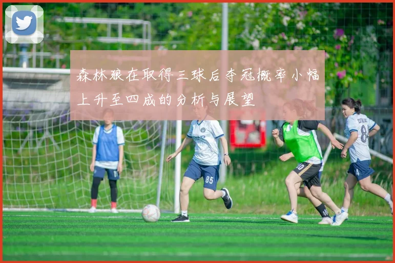 森林狼在取得三球后夺冠概率小幅上升至四成的分析与展望